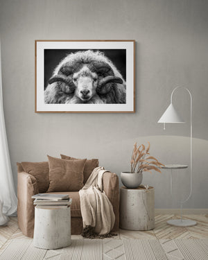 RAM