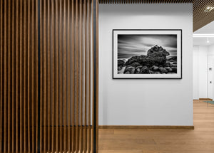 frame behind glass, image of a rock on a beach covered with seaweed 